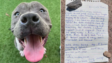 Conmovedora nota revela el motivo por el que alguien abandonó a su cachorro y así responde el refugio