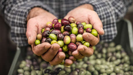 La UE alerta sobre la entrada en España de aceitunas con un pesticida prohibido