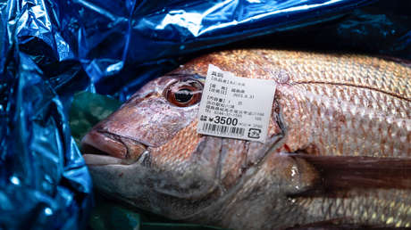 Exportaciones japonesas de mariscos a China se desploman tras el vertido de agua de Fukushima