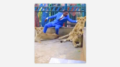 Pastor nigeriano recrea una historia bíblica y se mete en una celda con leones (VIDEO)