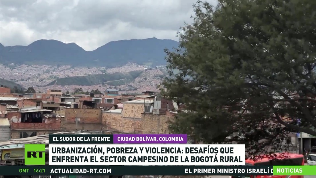 Urbanización, pobreza y violencia: desafíos que enfrenta el sector campesino de la Bogotá rural