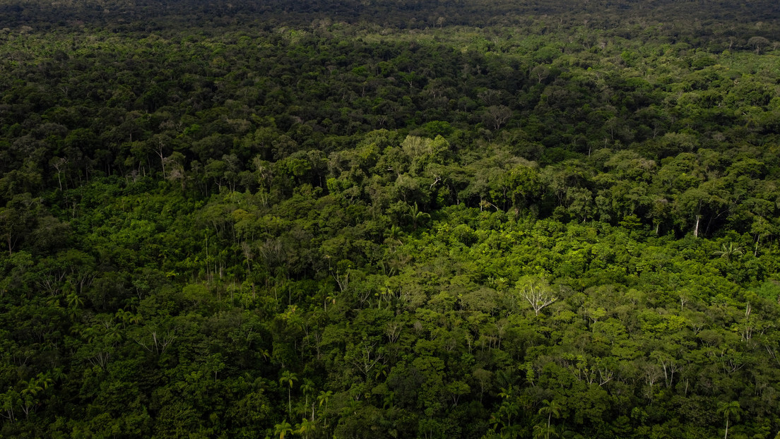 Más de 10.000 yacimientos arqueológicos precolombinos se ocultan en la selva amazónica