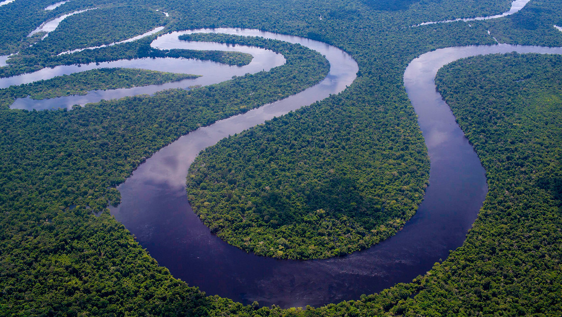 Decenas de estructuras precolombinas son encontradas bajo el manto de la selva amazónica