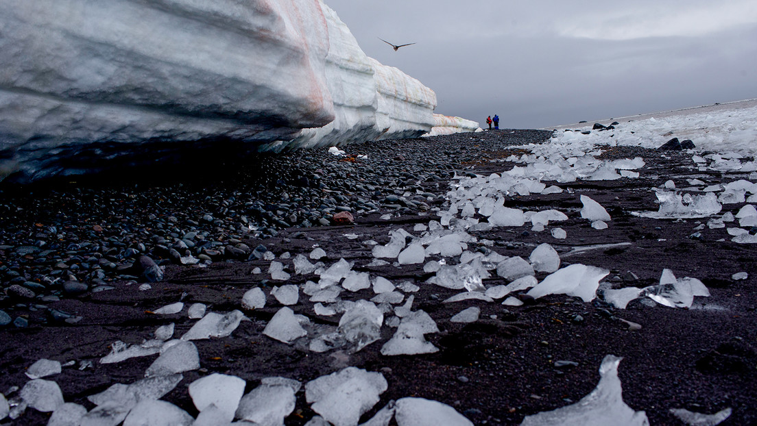 "El clima se está calentando": revelan que más del 40 % de las plataformas de hielo de la Antártida se redujeron