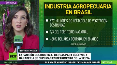Tierras para cultivos y ganadería se duplican en la Amazonía brasileña en detrimento de la selva