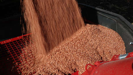 Rusia y China firman su mayor contrato para el suministro de cereales