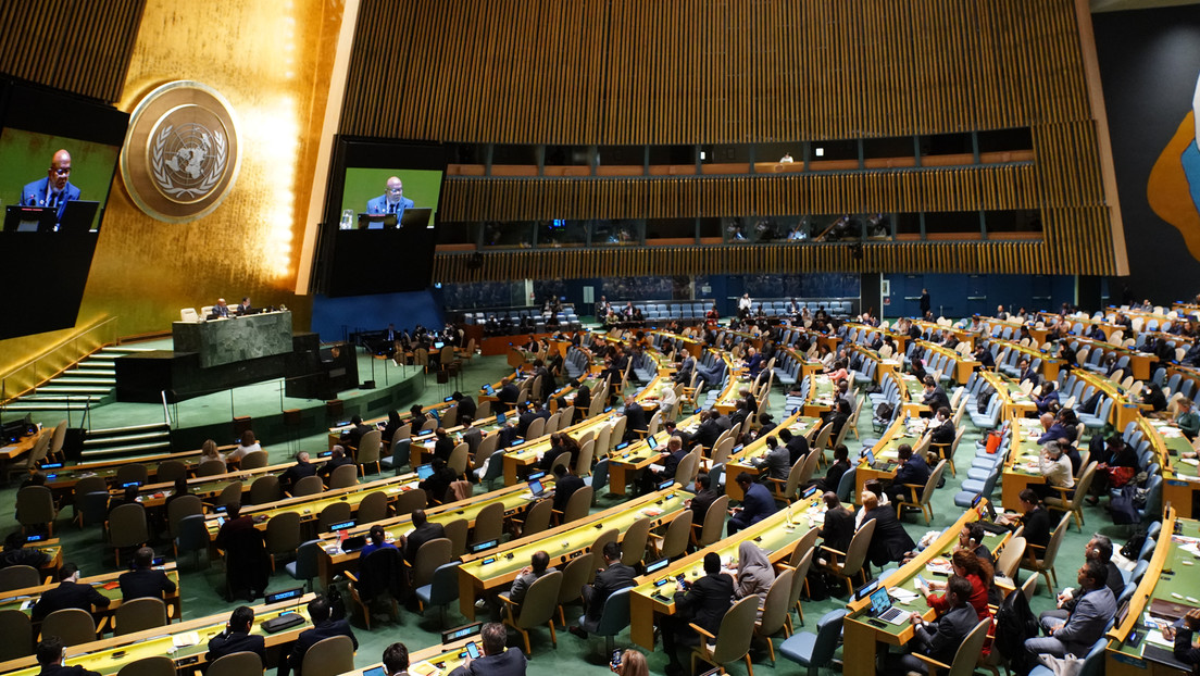 Asamblea General de la Organización de Naciones Unidas (ONU)