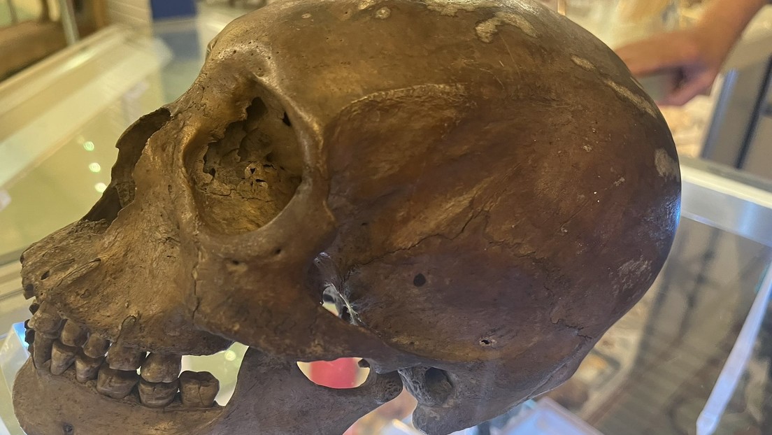 Encuentran un cráneo humano en venta en una tienda de antigüedades en EE.UU.
