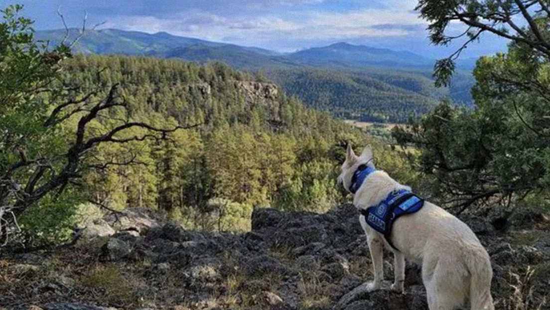 Hallan muerto a un turista desaparecido durante meses en EE.UU. junto a su perro vivo