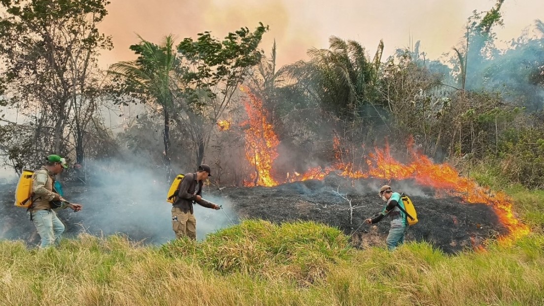 El Gobierno de Bolivia moviliza más de 4.800 bomberos para combatir incendios forestales