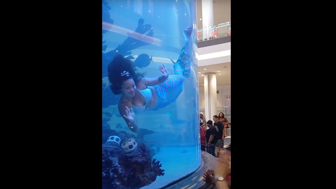 VIDEO: Mujer disfrazada de sirena casi se ahoga durante un espectáculo en un acuario