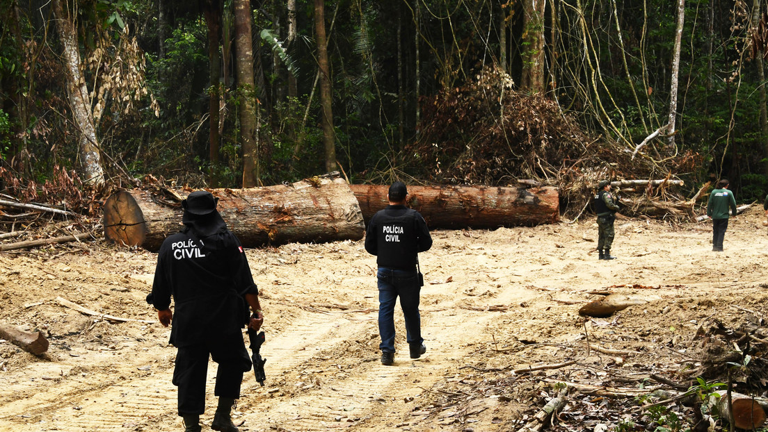 Más de la mitad de la población de la Amazonía brasileña vive bajo el yugo del crimen organizado