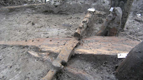 Un yugo de hace 3.300 años demuestra cuán pequeños eran los bovinos en la Edad de Bronce