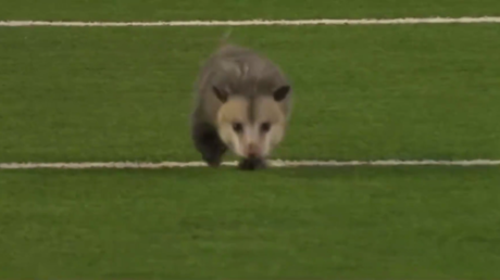 Captura de pantalla.