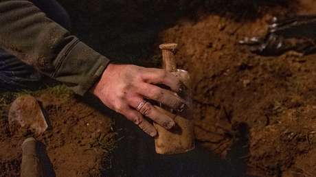 Semillas 'zombis' enterradas hace casi siglo y medio en un lugar secreto revelan plantas sorprendentes
