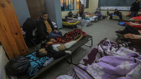 "Los perros se comen los cadáveres": alertan que Gaza está "al borde de una catástrofe médica"