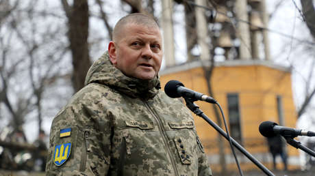 "Esta cúpula debe irse": miembro del partido gobernante en Ucrania carga contra el jefe de las Fuerzas Armadas