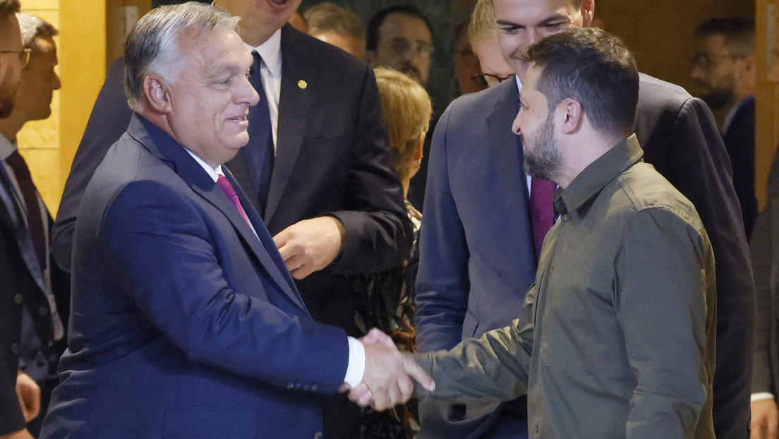VIDEO: Pillan a Zelenski conversando con Orbán durante la asunción de Milei