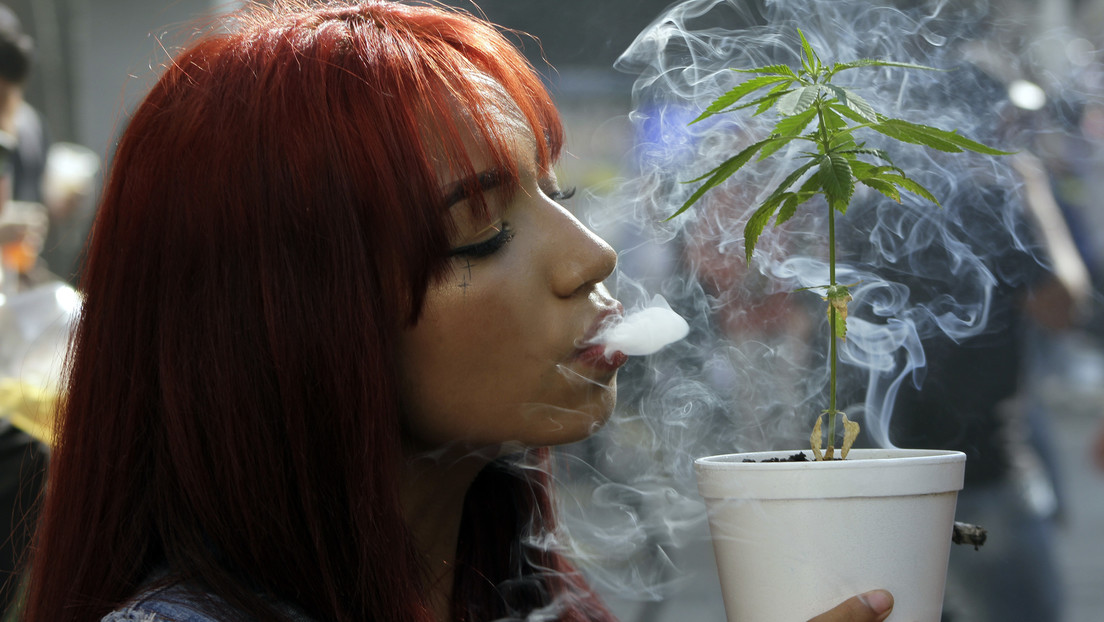 "Quienes ilegalizan reciben sobornos": Petro tras el 'no' a su propuesta de regular el cannabis recreativo