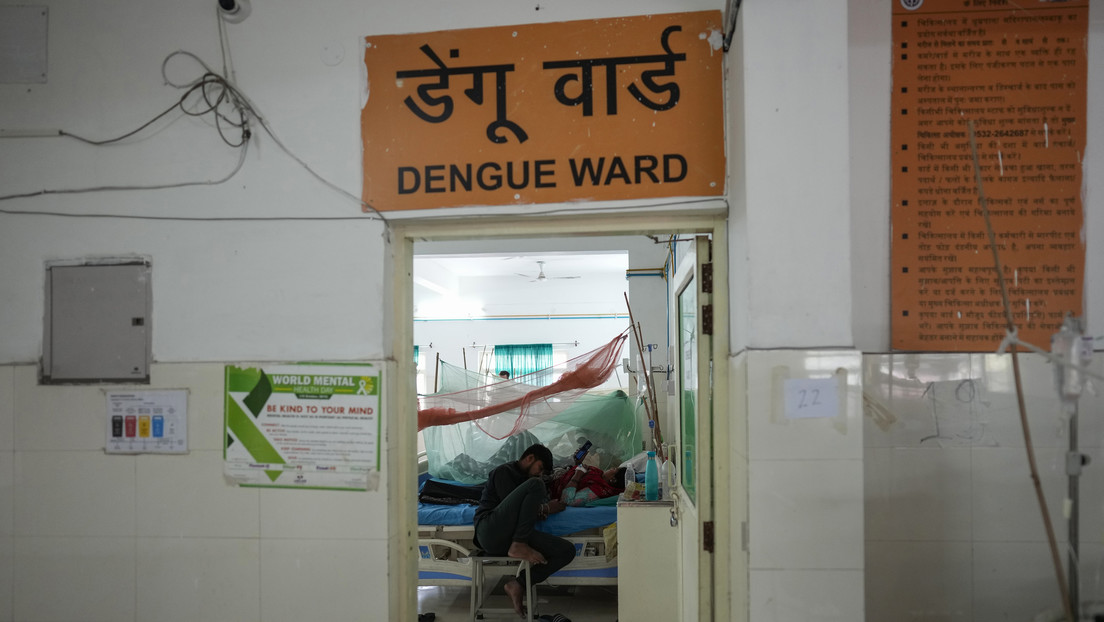 OMS: La incidencia del dengue incrementó "notablemente" en las últimas dos décadas