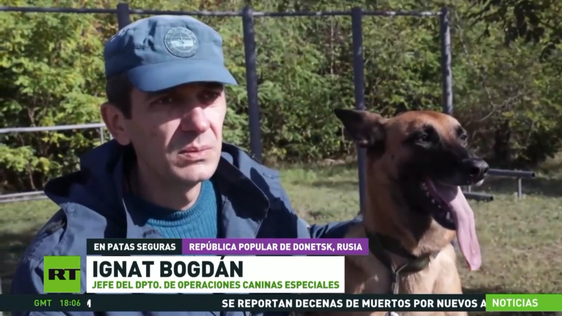 RT visita a los militares rusos y a sus perros de servicio en las zonas de la operación especial
