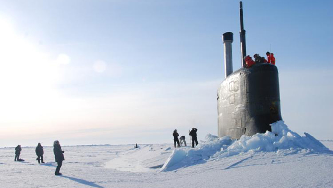 Zoólogo estadounidense llama a EE.UU. a abandonar sus reclamaciones en el Ártico