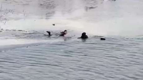 Un pescador salva con su anzuelo a una mujer que se estaba ahogando en el océano-idesotv-noticias-ica VIDEO: Policía se tira a un río helado para rescatar a un niño atrapado bajo el hielo