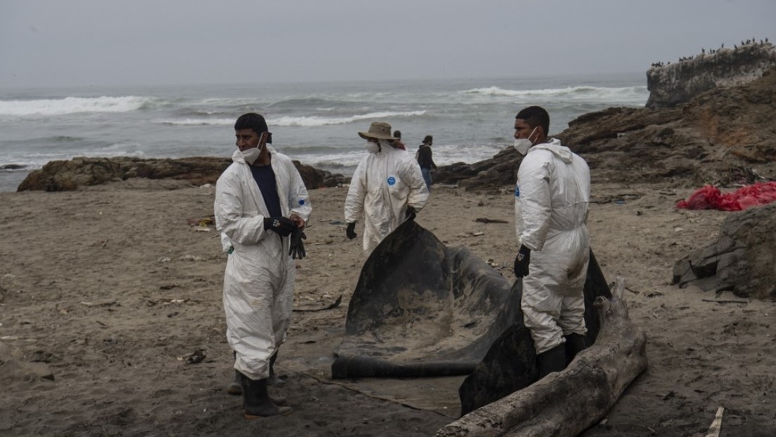 Repsol asegura que derrame de crudo en Perú fue "ocasionado por un movimiento abrupto" de un buque