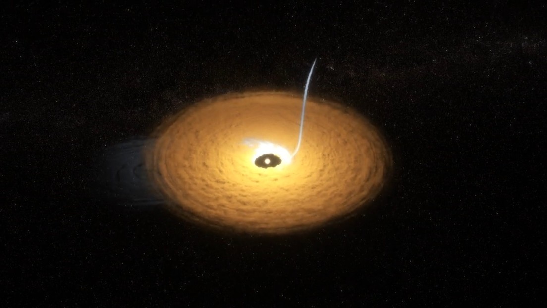 El James Webb detecta una polvorienta 'cola de gato' en un sistema planetario distante (VIDEO)