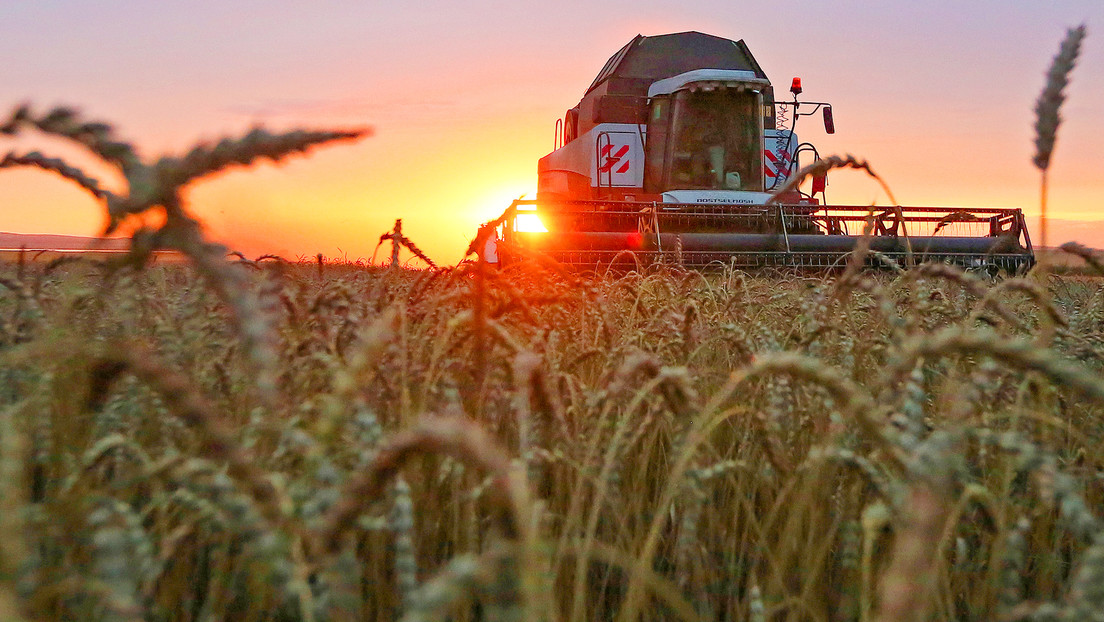 Rusia bate su récord de exportaciones de cereales