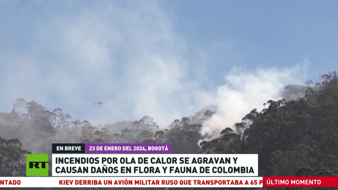 Incendios por ola de calor se agravan y causan daños en flora y fauna de Colombia