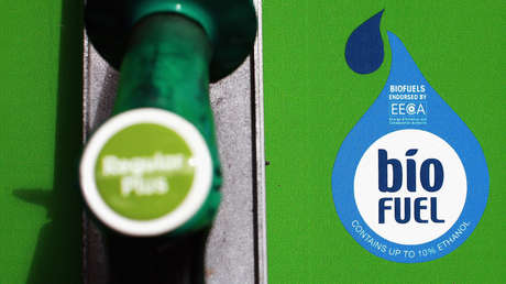 Sector de biocombustibles de Argentina rechaza la 'ley ómnibus' de Milei y anticipa un "colapso"