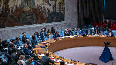 VIDEO: Representantes árabes abandonan una reunión del Consejo de Seguridad durante el discurso del enviado israelí