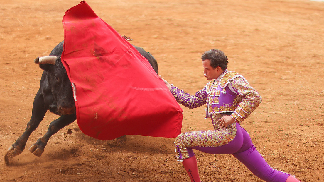 Jueza autoriza que sigan celebrándose corridas de toros en la Plaza México