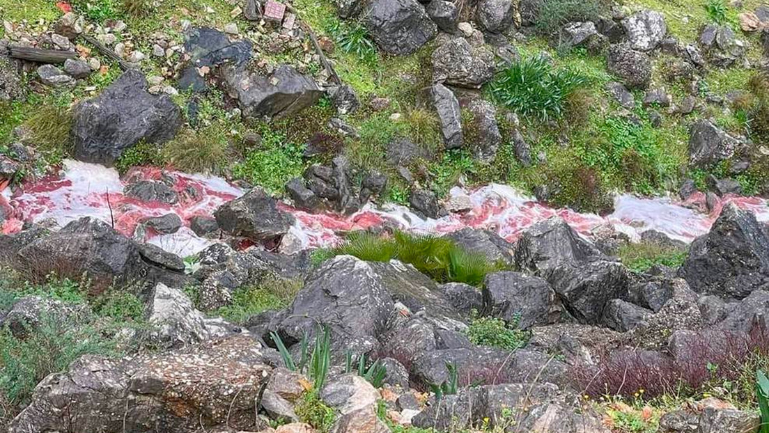 "Es sangre, no contamina": La respuesta de un alcalde español ante la denuncia de vertido en un río