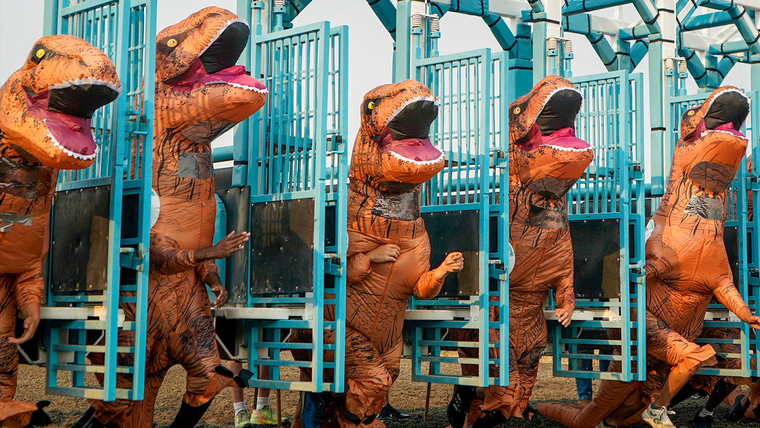 VIDEO: 'Tiranosaurios' compiten en una divertida carrera en Japón