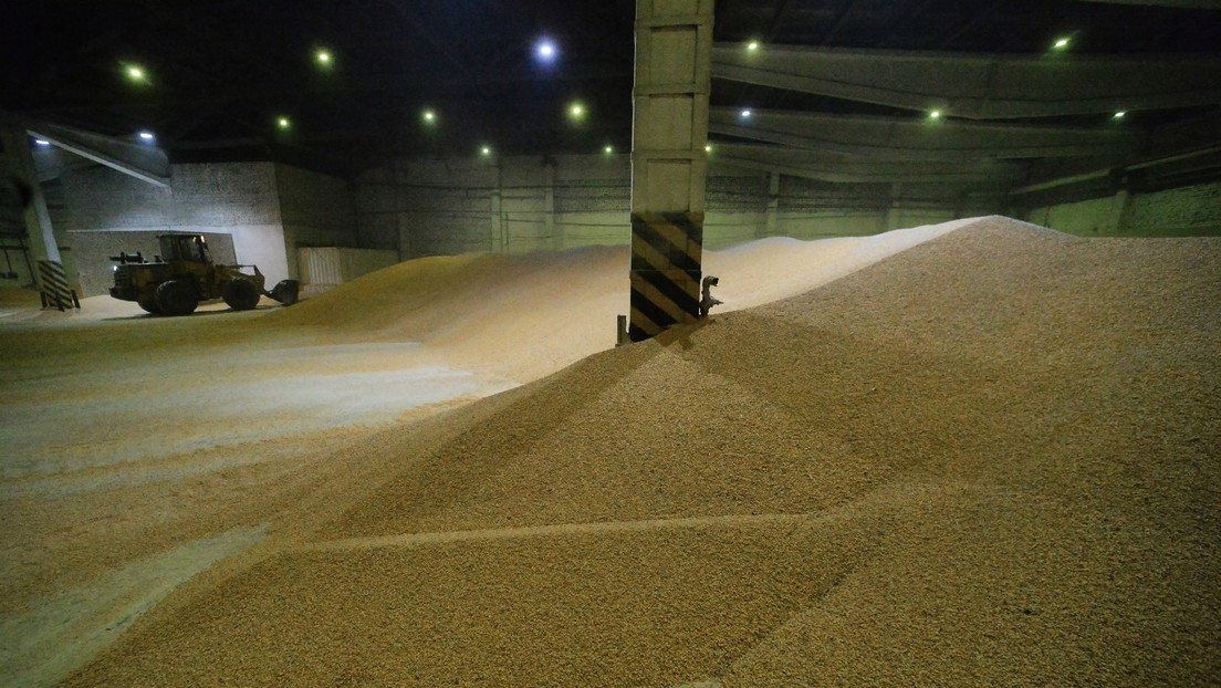 Rusia ha enviado 200.000 toneladas de grano a 6 países africanos de forma gratuita