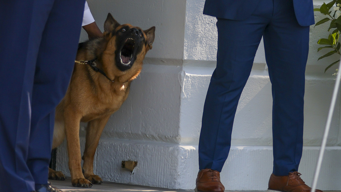 El perro de Biden atacó en al menos 24 ocasiones a agentes del Servicio Secreto