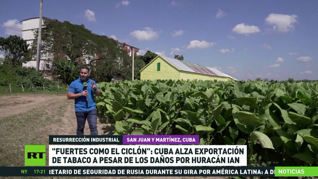 Cuba celebra el Festival del Habano tras recuperarse la industria tabacalera de los daños del huracán Ian