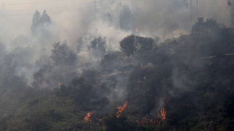 Incendios forestales, dengue y temperaturas récord: Sudamérica sufre por la ola de calor extremo