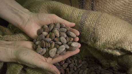 Los precios del cacao se disparan a niveles récords