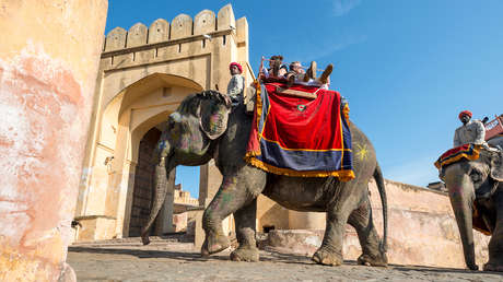 VIDEO: Elefante ataca a una turista rusa en la India y le rompe una pierna