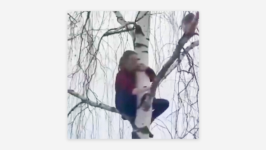 VIDEO: Acude al rescate de una gata y queda también atrapada en lo alto de un árbol