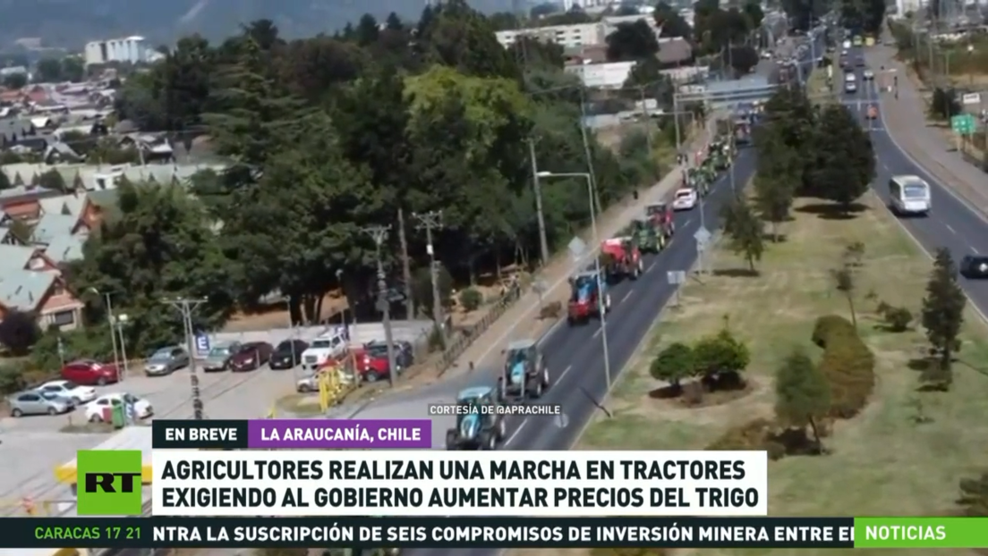 Agricultores chilenos realizan marcha en tractores para exigir al Gobierno aumentar precios del trigo