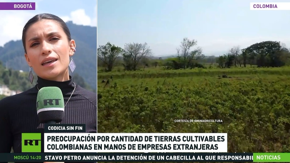 Preocupación por la cantidad de tierras cultivables colombianas en manos de empresas extranjeras