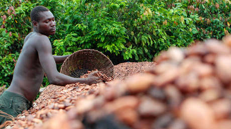 Los precios del cacao vuelven a alcanzar máximos históricos
