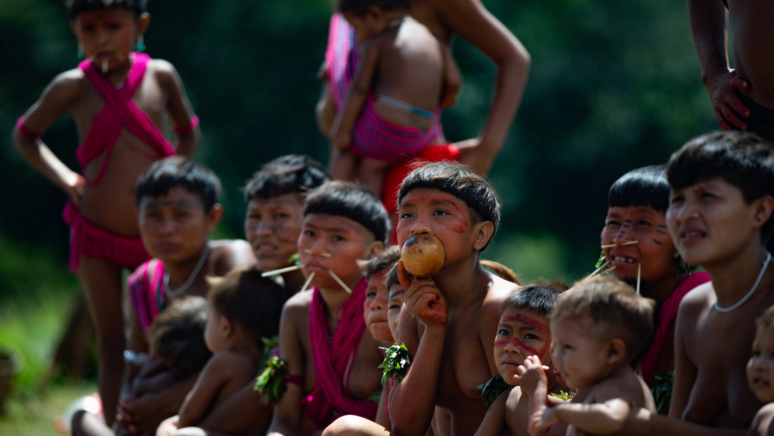 Desvelan la punta del "inmenso iceberg" en la salud de los yanomamis en Brasil