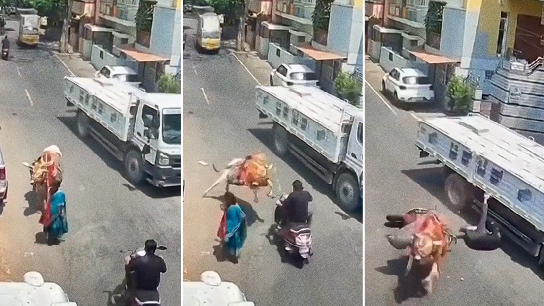 VIDEO: Un toro lanza a un hombre en ciclomotor bajo un camión