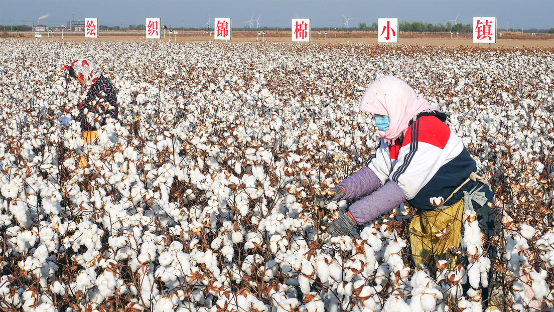 ¿Por qué Europa se hizo dependiente del algodón chino en su afán por armar a Ucrania?