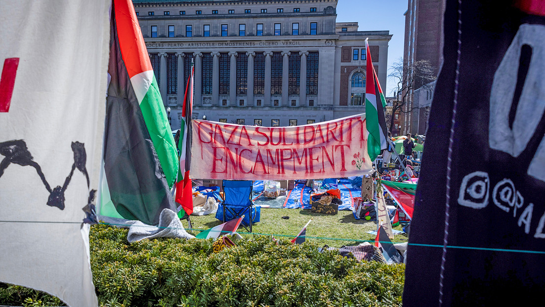 VIDEOS: Decenas de detenciones en protestas antiisraelíes en universidades de EE.UU.